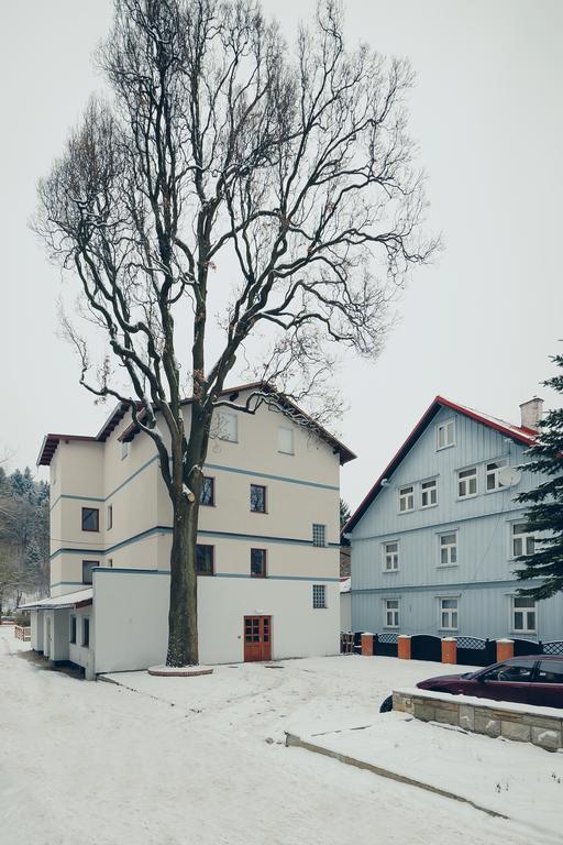 Pensjonat Limba Duszniki Zdrój Exteriör bild